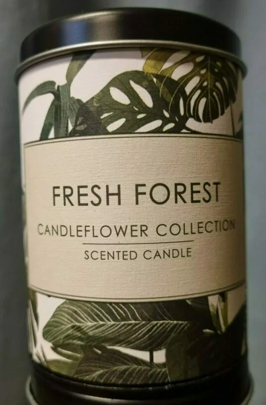 forest